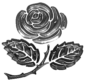 metallic rose